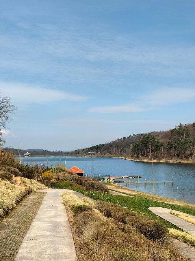 Neues-Ferienhaus-Am-Schoenen-Ferienpark-Twistesee-Naehe-Bad-Arolsen Bad Arolsen Exterior foto